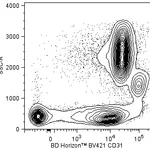 BD BV421 Mouse Anti-Human CD31