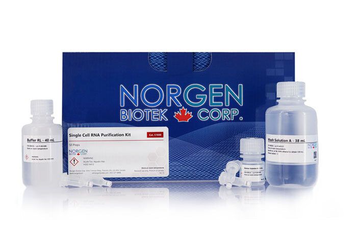 Norgen Single Cell RNA Purification Kit