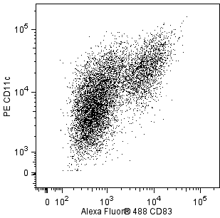 BD Alexa Fluor® 488 Rat Anti-Mouse CD83