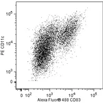 BD Alexa Fluor® 488 Rat Anti-Mouse CD83