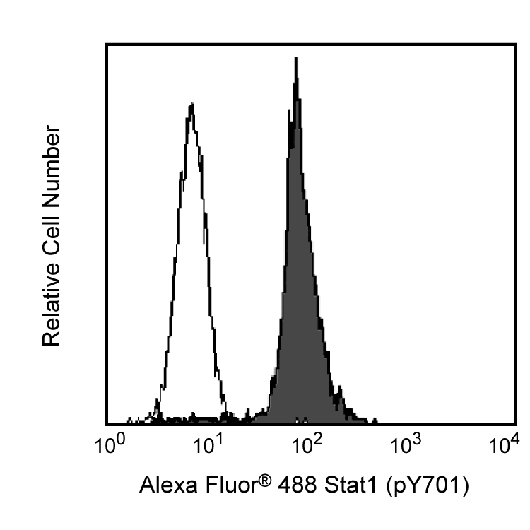 BD Alexa Fluor® 488 Mouse Anti-Stat1 (pY701)