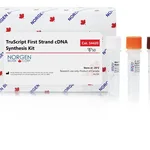 Norgen TruScript First Strand cDNA Synthesis Kit