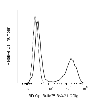 BD BV421 Rat Anti-Mouse CRIg