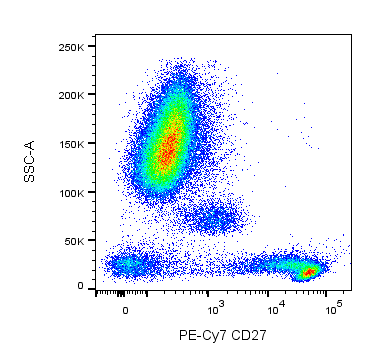BD PE-Cy7 Mouse Anti-Human CD27