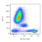 BD PE-Cy7 Mouse Anti-Human CD27