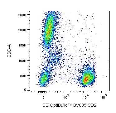 BD BV605 Mouse Anti-Human CD2