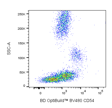 BD BV480 Mouse Anti-Human CD54 (ICAM-1)