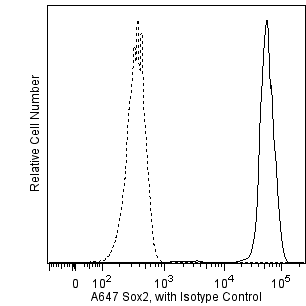 BD Alexa Fluor® 647 Mouse Anti-Sox2