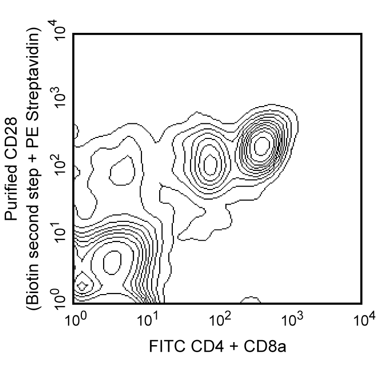 BD Purified Hamster Anti-Mouse CD28