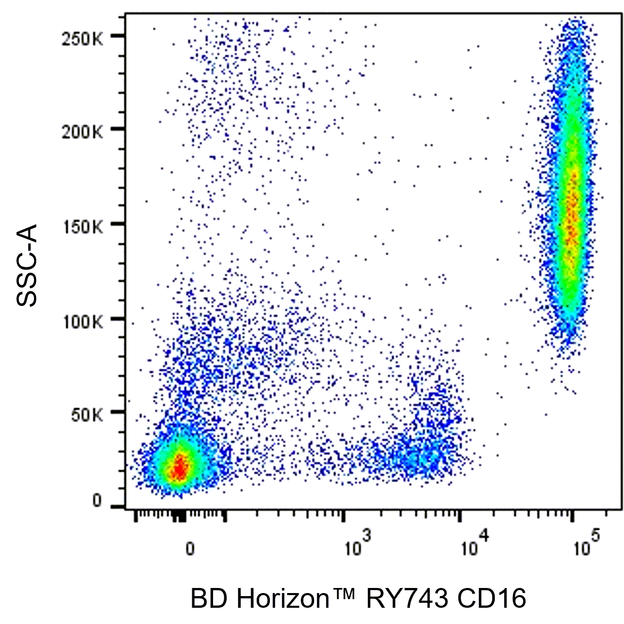 BD RY743 Mouse Anti-Human CD16