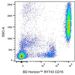BD RY743 Mouse Anti-Human CD16