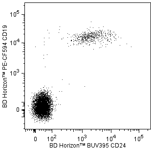 BD BUV395 Mouse Anti-Human CD24