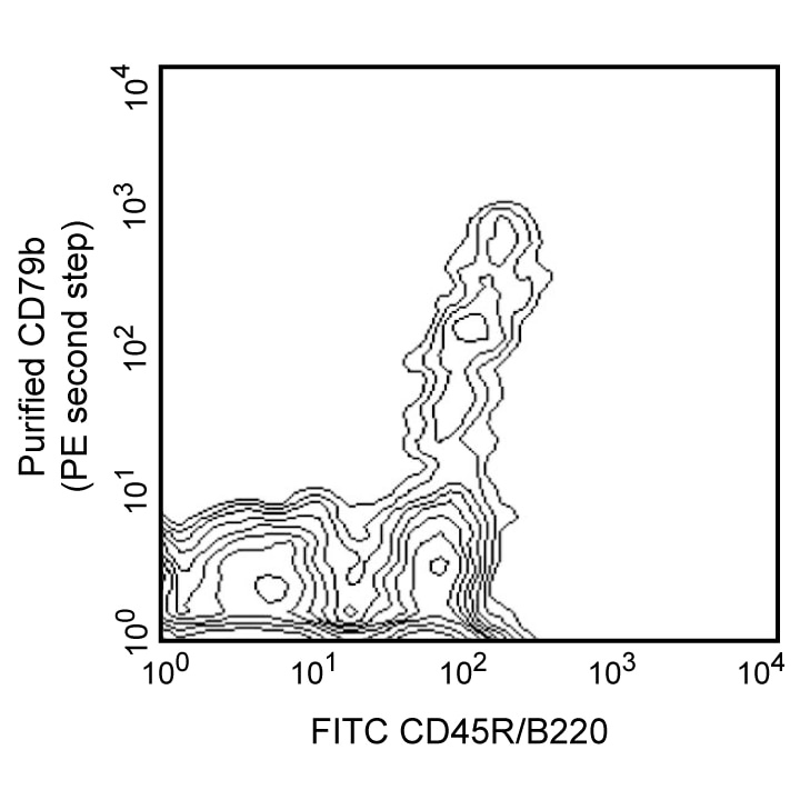 BD Purified Hamster Anti-Mouse CD79b