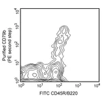 BD Purified Hamster Anti-Mouse CD79b