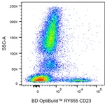 BD RY655 Mouse Anti-Human CD23