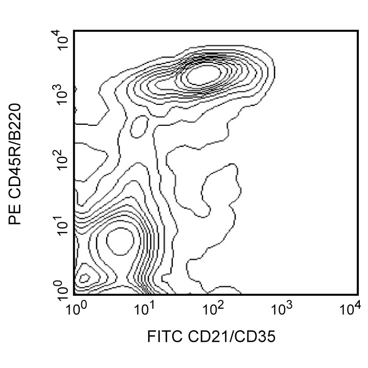 BD FITC Rat Anti-Mouse CD21/CD35