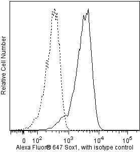 BD Alexa Fluor® 647 Mouse Anti-Human Sox1