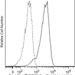 BD Alexa Fluor® 647 Mouse Anti-Human Sox1