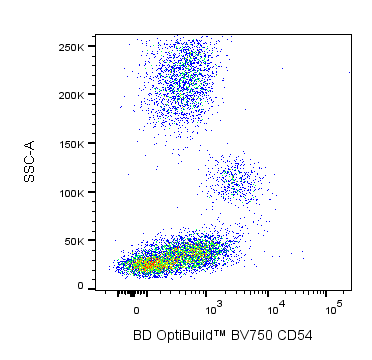 BD BV750 Mouse Anti-Human CD54 (ICAM-1)