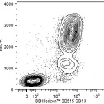 BD BB515 Mouse Anti-Human CD13