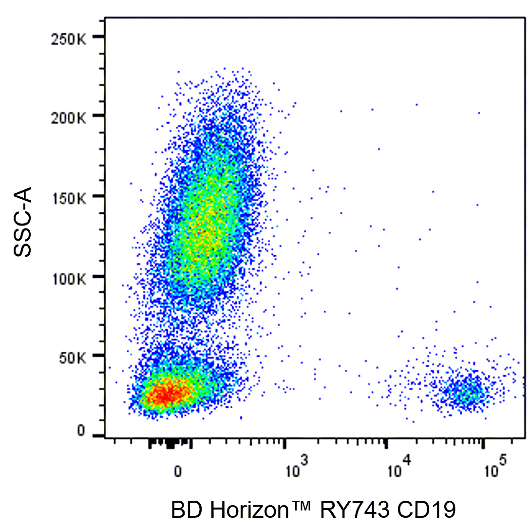 BD RY743 Mouse Anti-Human CD19