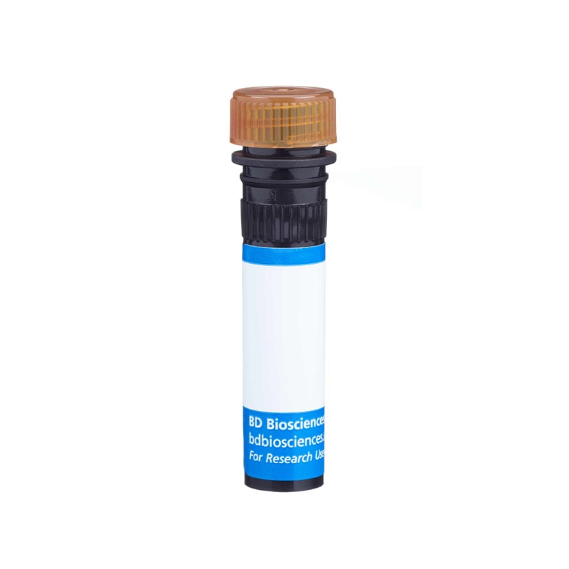 BD RB705 Mouse Anti-Human EGF Receptor