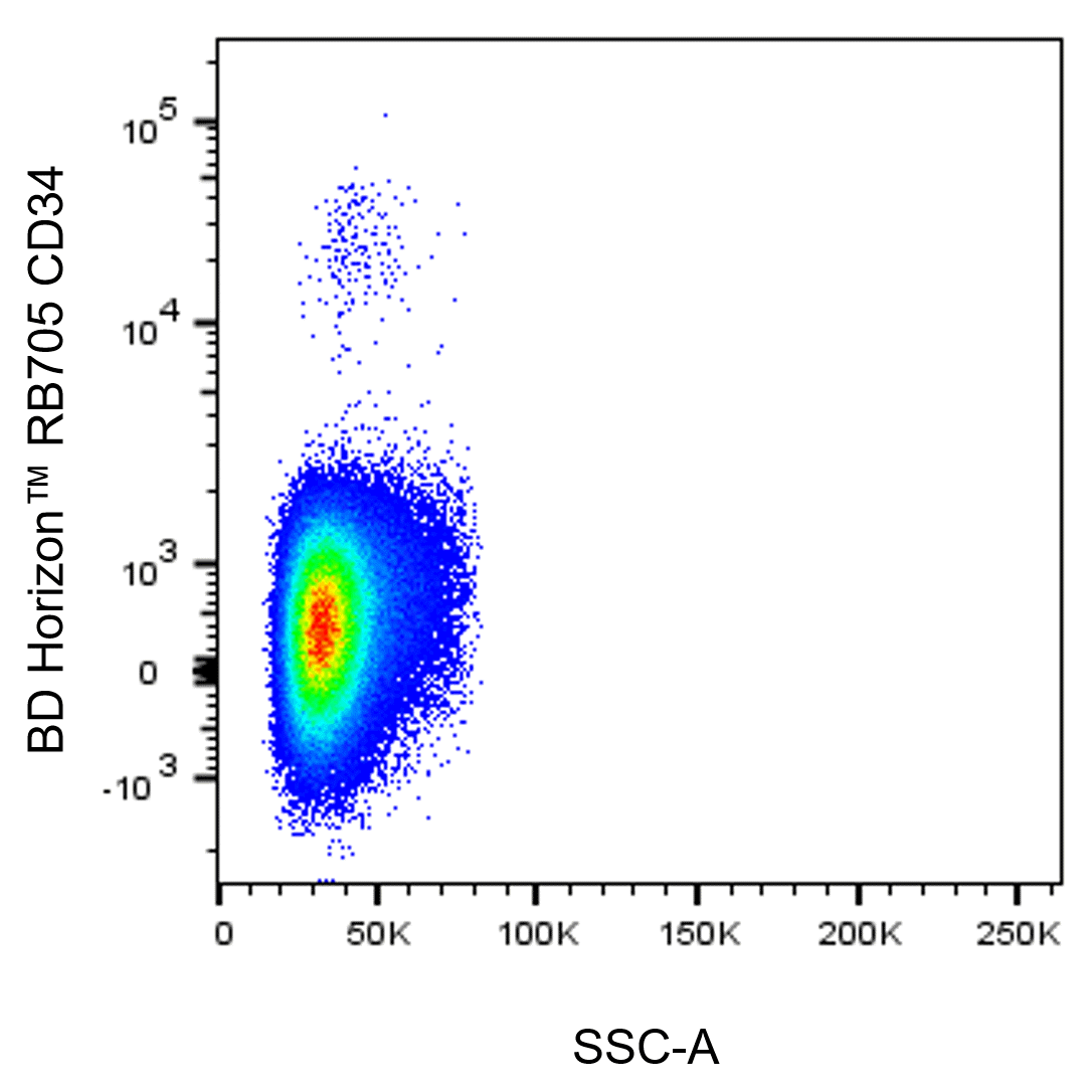 BD RB705 Mouse Anti-Human CD34