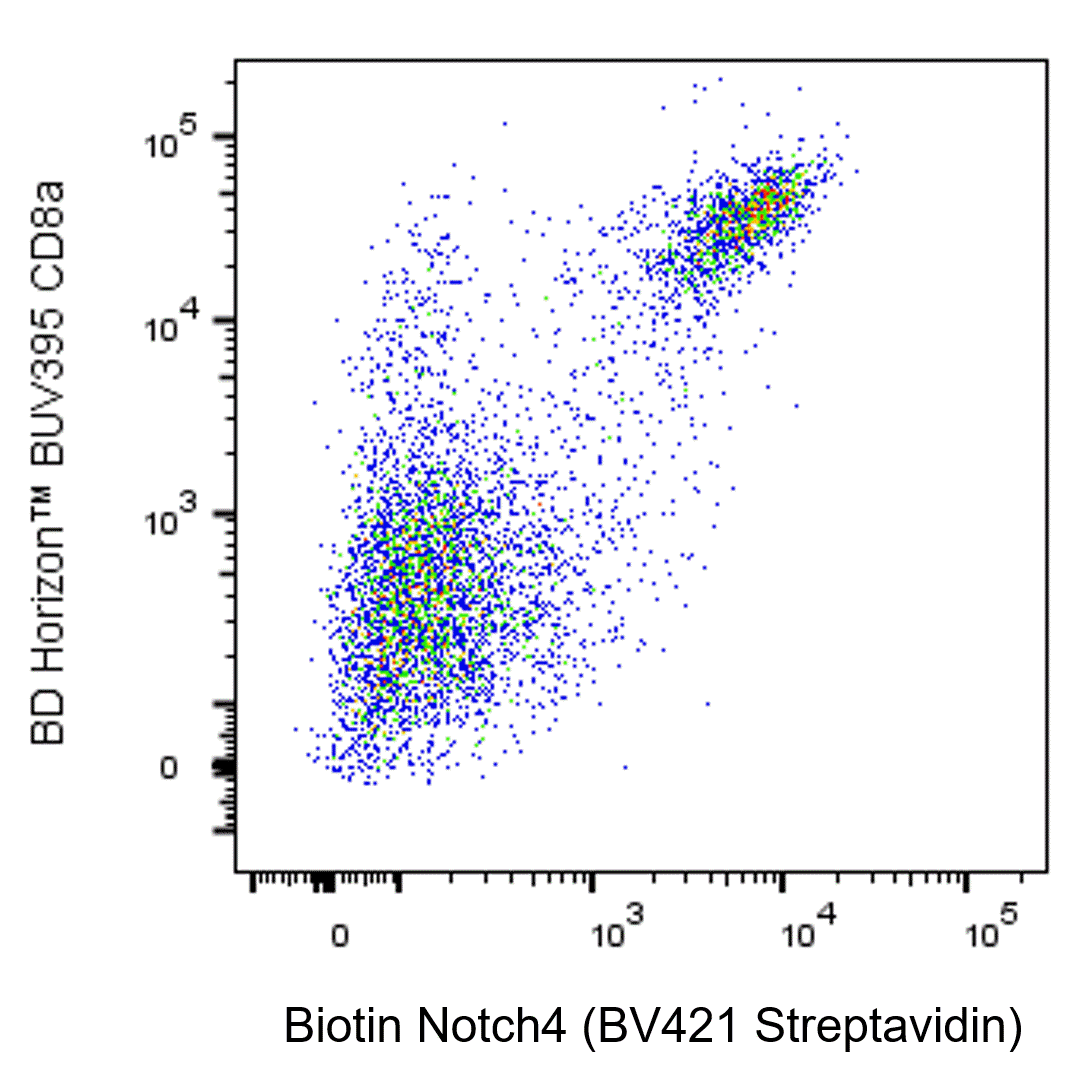 BD Biotin Hamster Anti-Mouse Notch4
