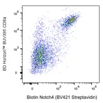BD Biotin Hamster Anti-Mouse Notch4
