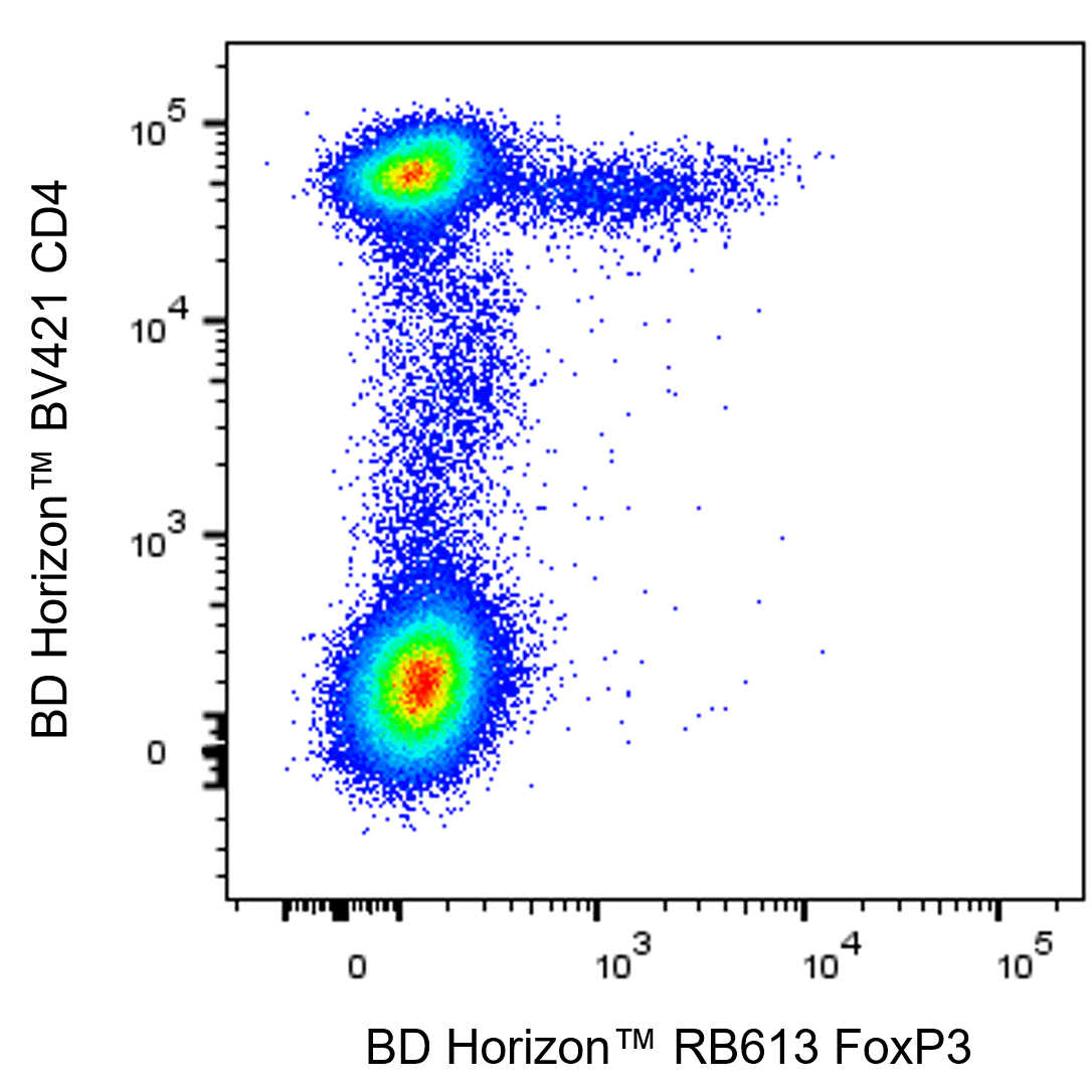 BD RB613 Mouse Anti-Human FoxP3
