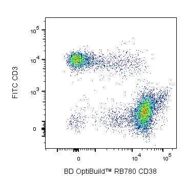 BD RB780 Rat Anti-Mouse CD38