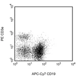 BD APC-Cy7 Rat Anti-Mouse CD19