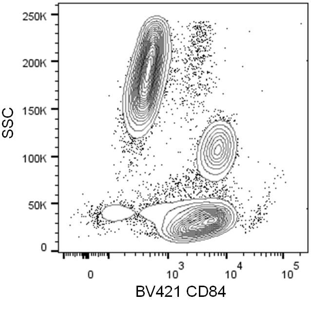 BD BV421 Mouse Anti-Human CD84