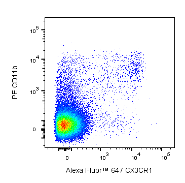 BD Alexa Fluor 647 Rat Anti-Mouse CX3CR1