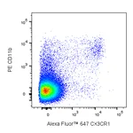 BD Alexa Fluor 647 Rat Anti-Mouse CX3CR1