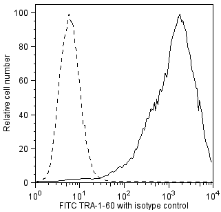 BD FITC Mouse anti-Human TRA-1-60 Antigen