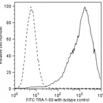 BD FITC Mouse anti-Human TRA-1-60 Antigen