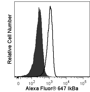 BD Alexa Fluor® 647 Mouse anti-IκBα
