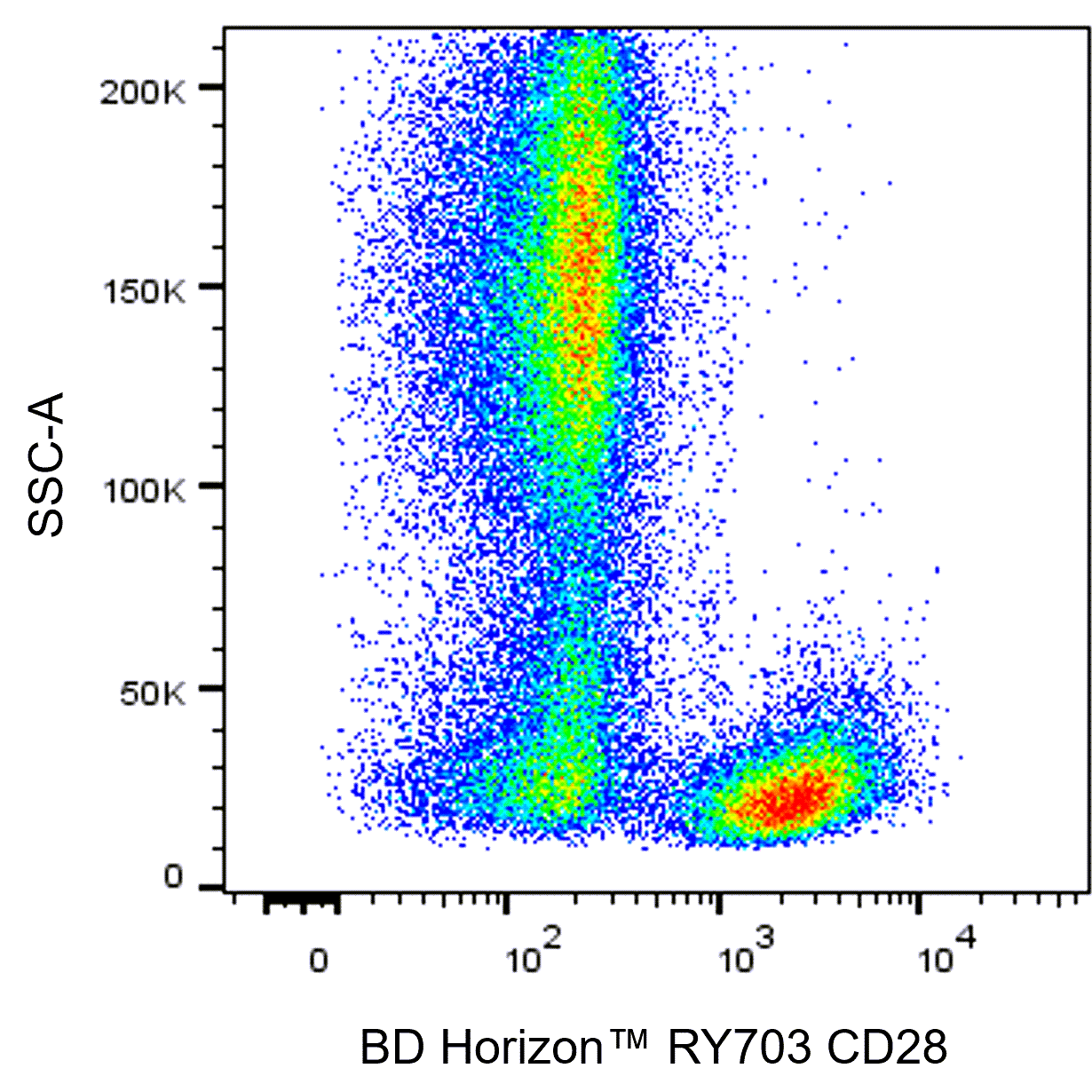 BD RY703 Mouse Anti-Human CD28