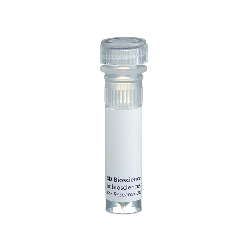 BD Biotin Mouse Anti-Mouse H-2Kb