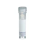 BD Biotin Mouse Anti-Mouse H-2Kb