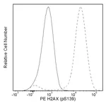 BD PE Mouse Anti-H2AX (pS139)