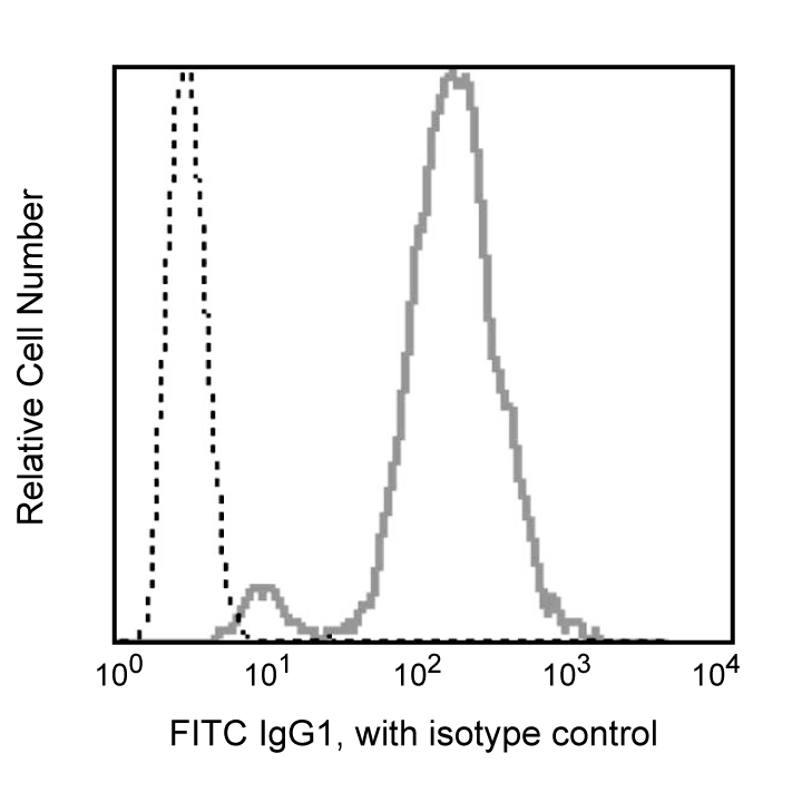 BD FITC Rat Anti-Mouse IgG1
