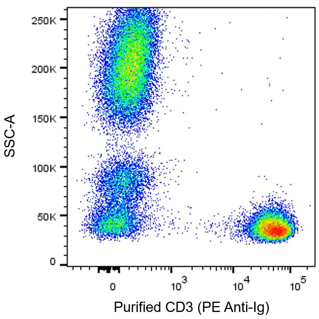 BD Purified Mouse Anti-Human CD3