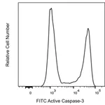 BD FITC Rabbit Anti-Active Caspase-3