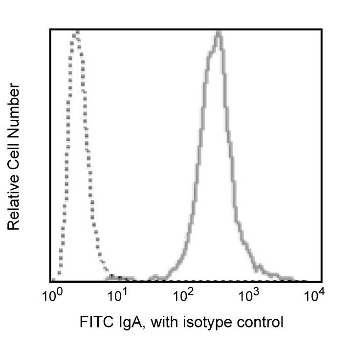 BD FITC Rat Anti-Mouse IgA