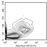 BD Alexa Fluor® 700 Rat anti-CD11b