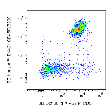 BD RB744 Rat Anti-Mouse CD31