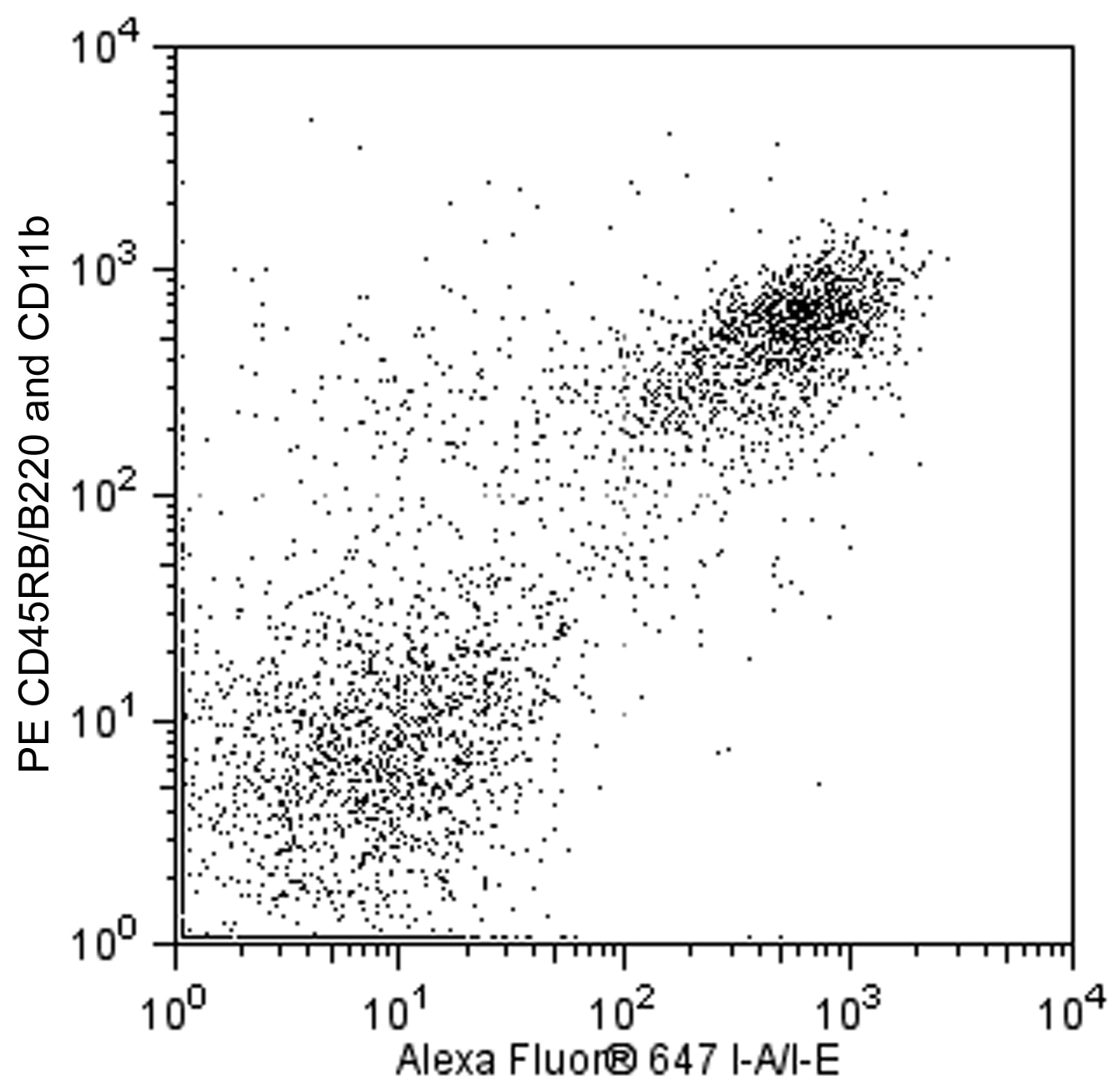 BD Alexa Fluor® 647 Rat Anti-Mouse I-A/I-E