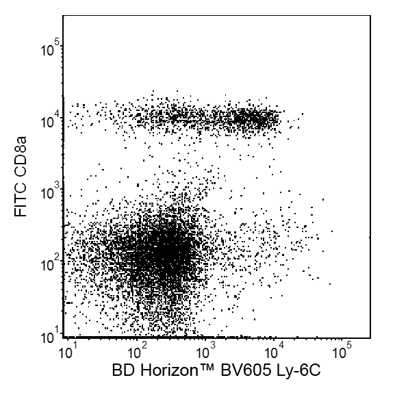 BD BV605 Rat Anti-Mouse Ly-6C